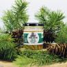 Miel de Sapin bio - 250g