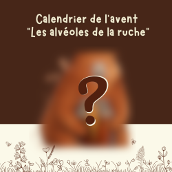 Calendrier de l'Avent Les...
